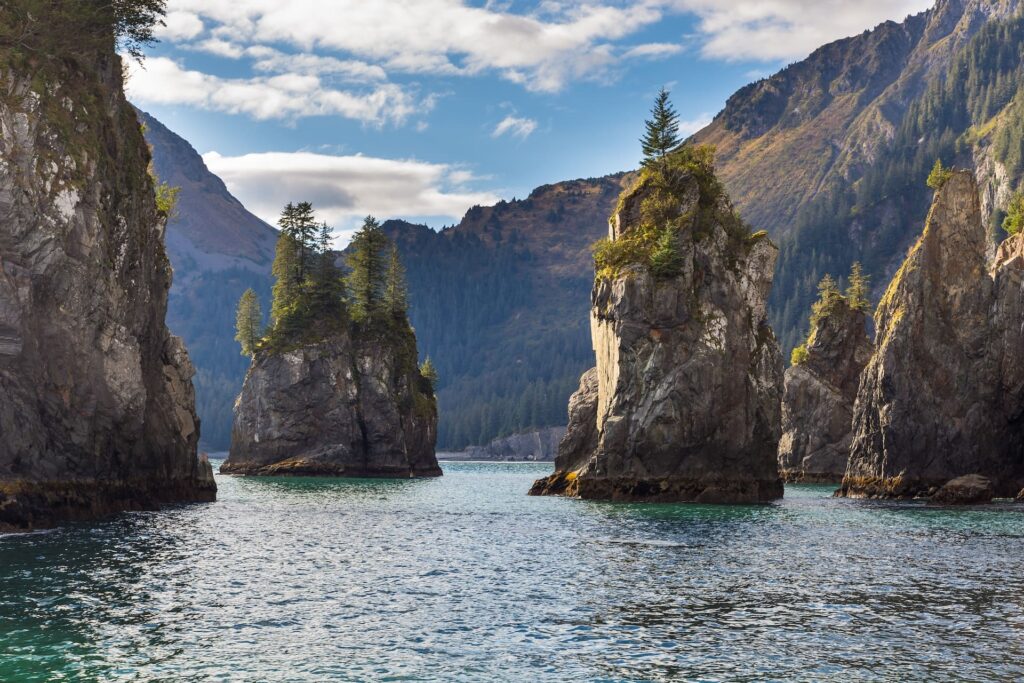Seward Alaska Fishing Charters